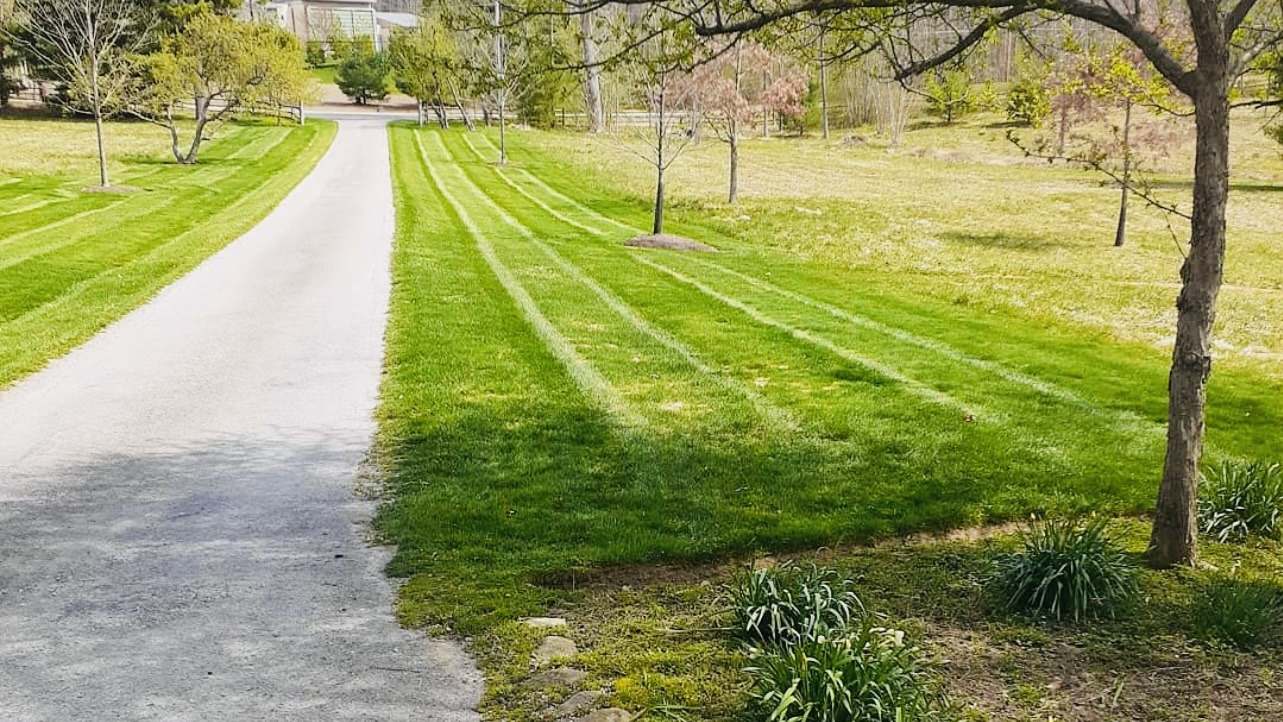 A gravel drive running between two strips of lawn mown in long stripes, with young trees and open grass beyond.