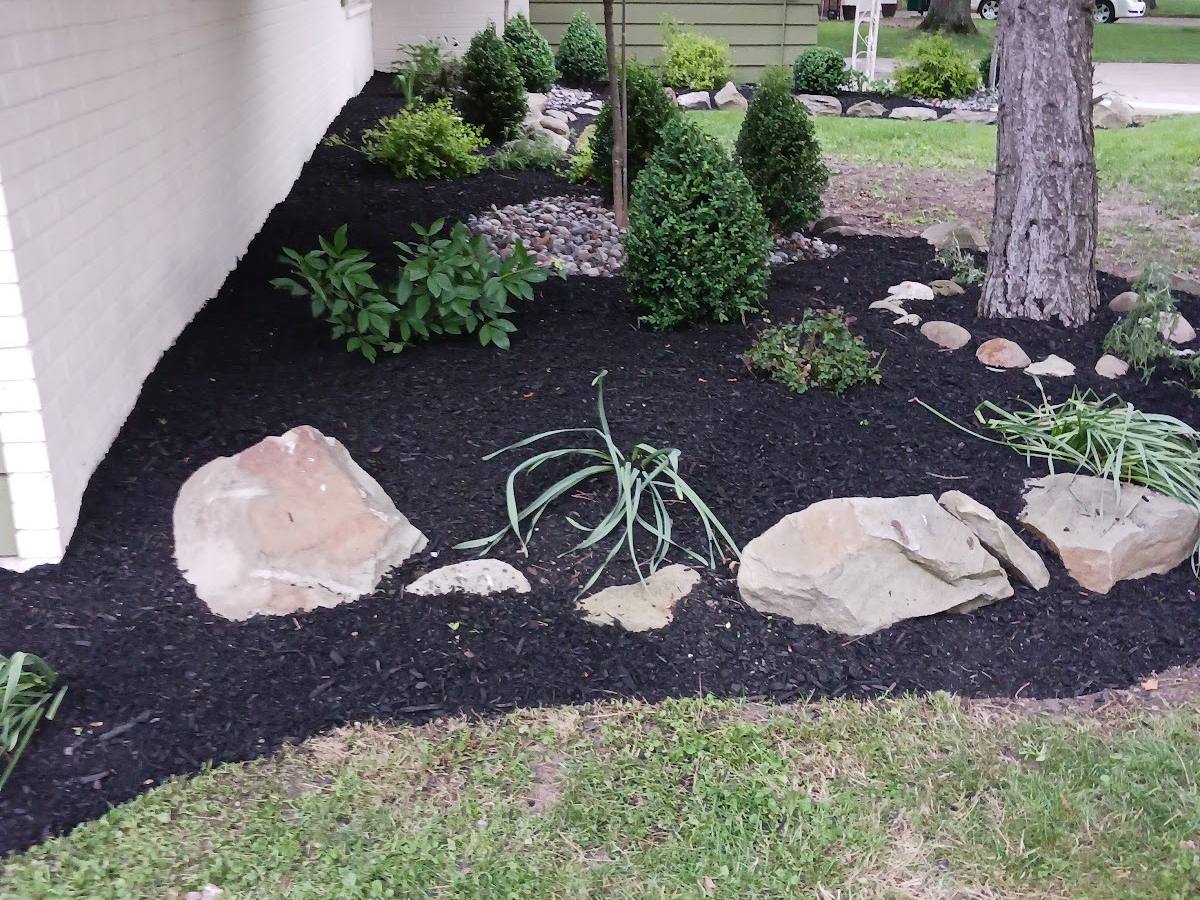A bed of fresh dark mulch along a white house wall, with large rocks, grasses and young shrubs set into it and a mown lawn in front.